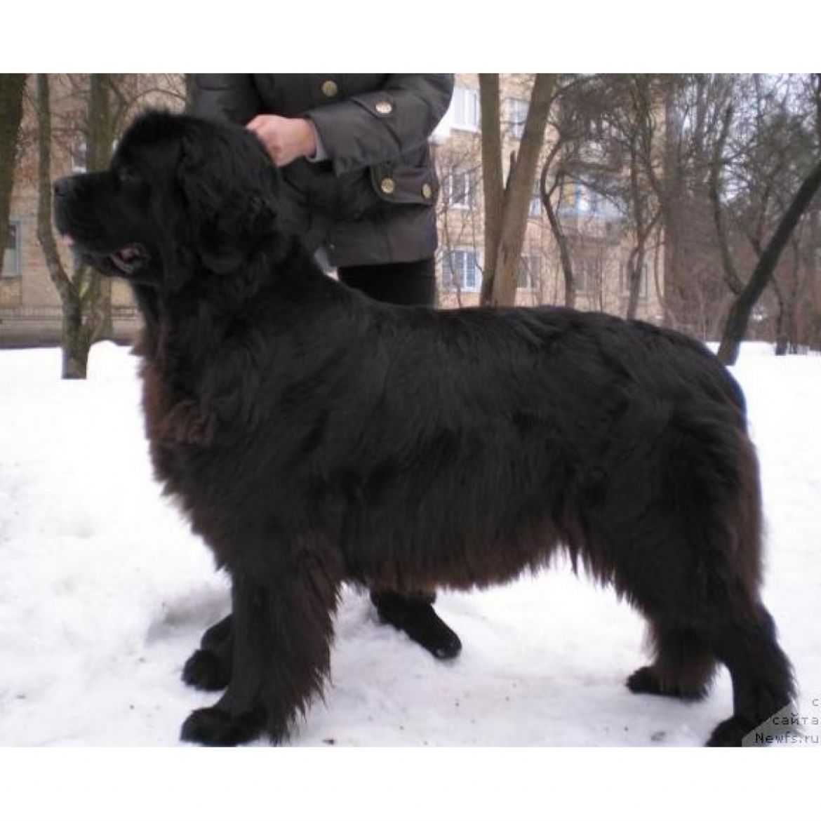T Marjana Bolshoj Malysh (13-01-2006)